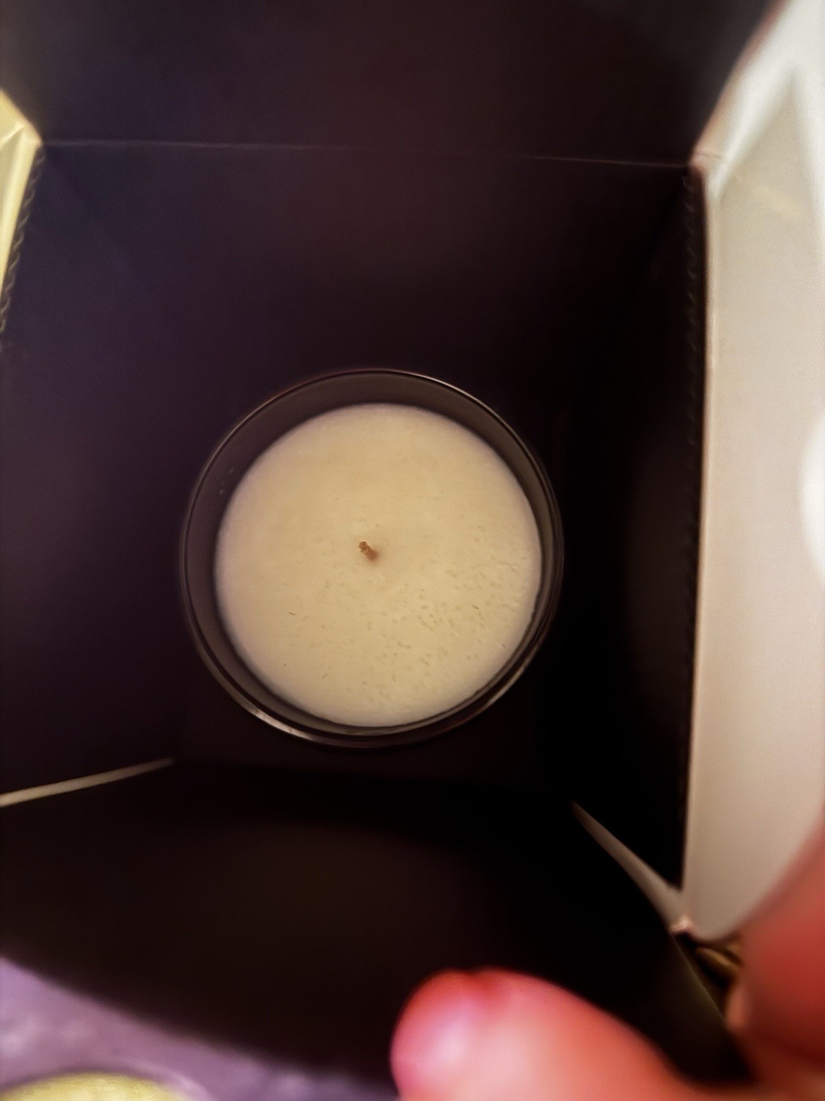 Voluspa Elphaba Wicked Collab Bewitching Banyan Forest Candle 8.50z / 241g NEW
