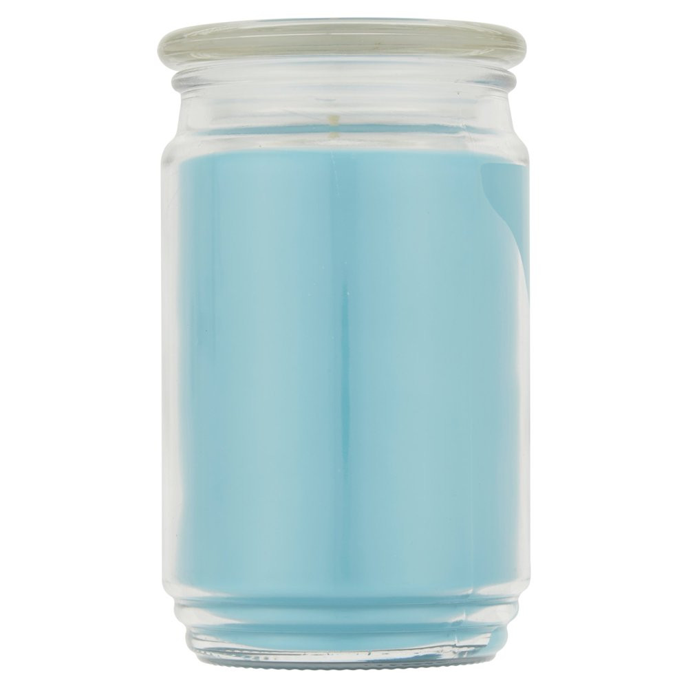 Single Wick Jar Candle, Garden Rain, 20 Oz
