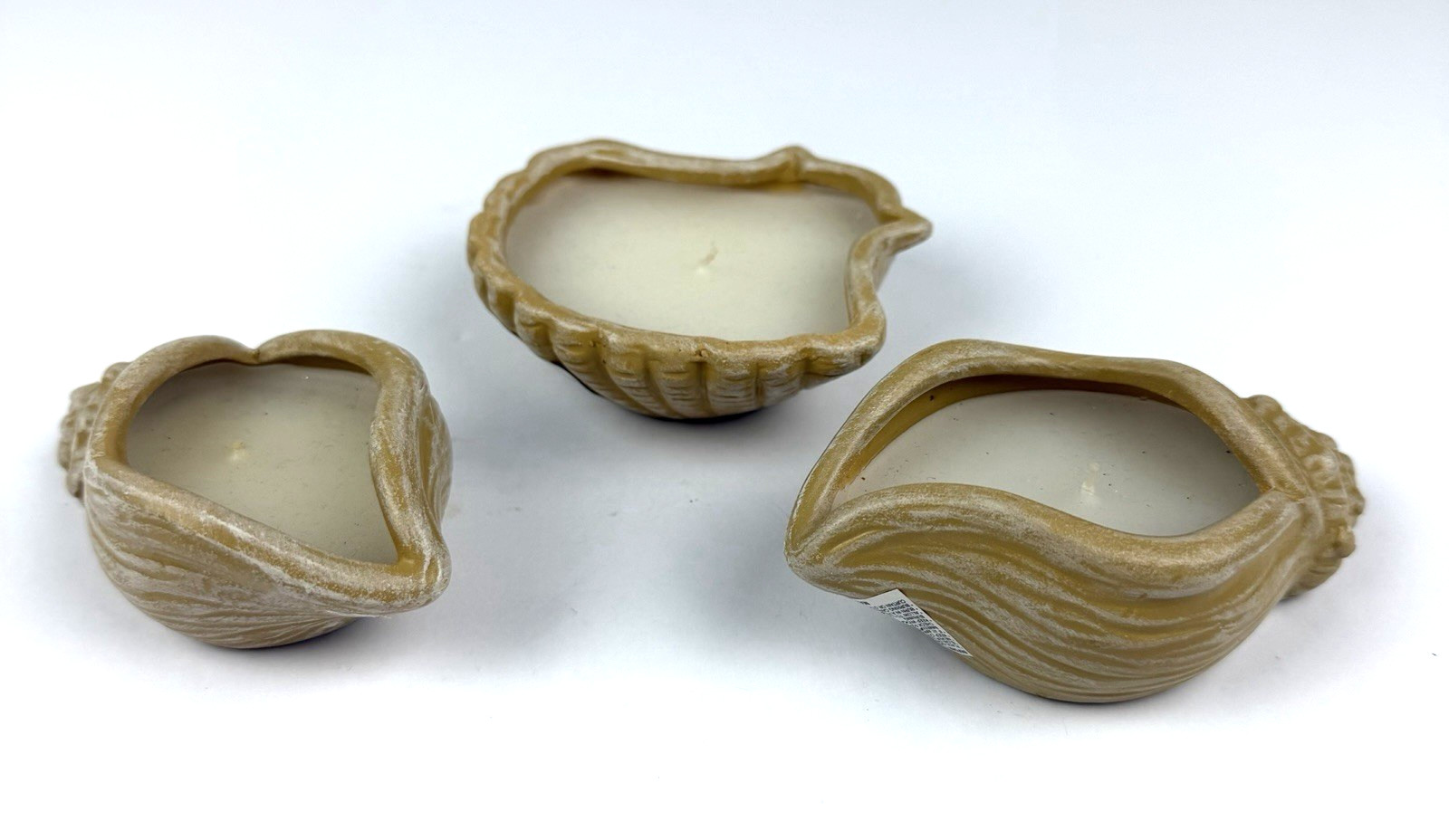 3 Sea Shell Candle Filed Holders Beach House Decor Seaside