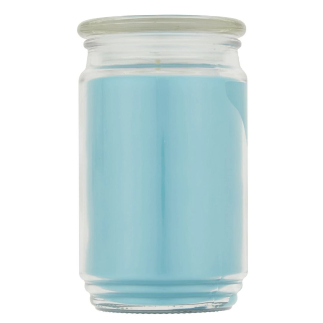 Mainstays Single Wick Jar Candle, Garden Rain, 20 oz