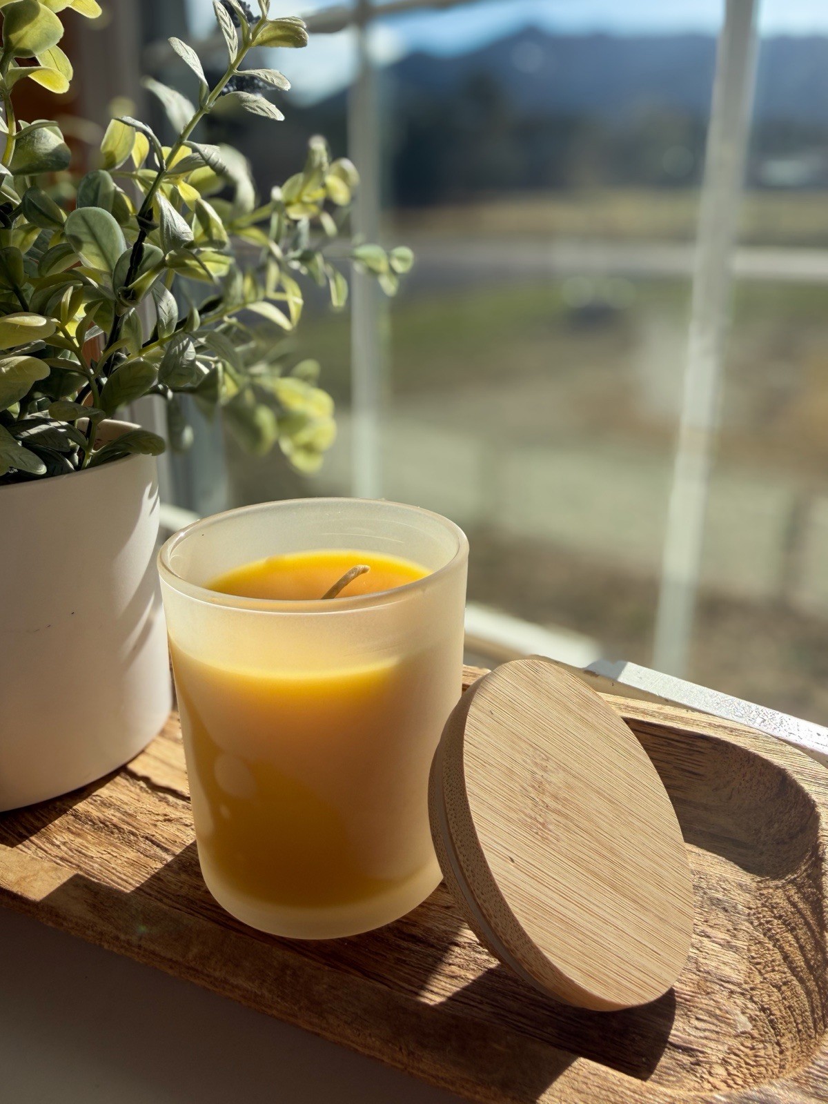 Handmade 6 oz Pure ColoradoBeeswax Candle in Frosted Glass Jar Natural Non Toxic