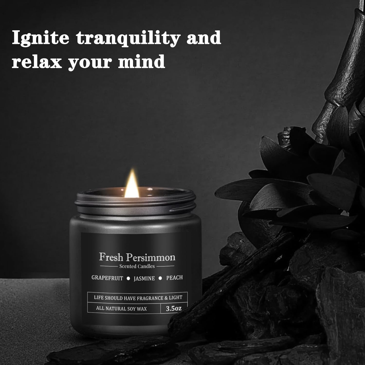 10 Pack Scented Candles for Men, Masculine Candle Gift Set with Woody & Fresh…
