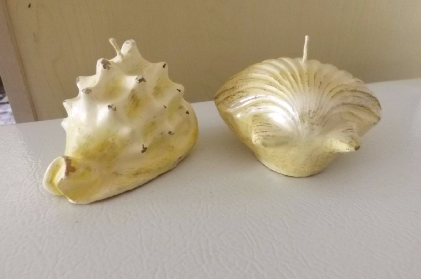Shell Candle Scallop or Conch, Off White 3 1/2 in.