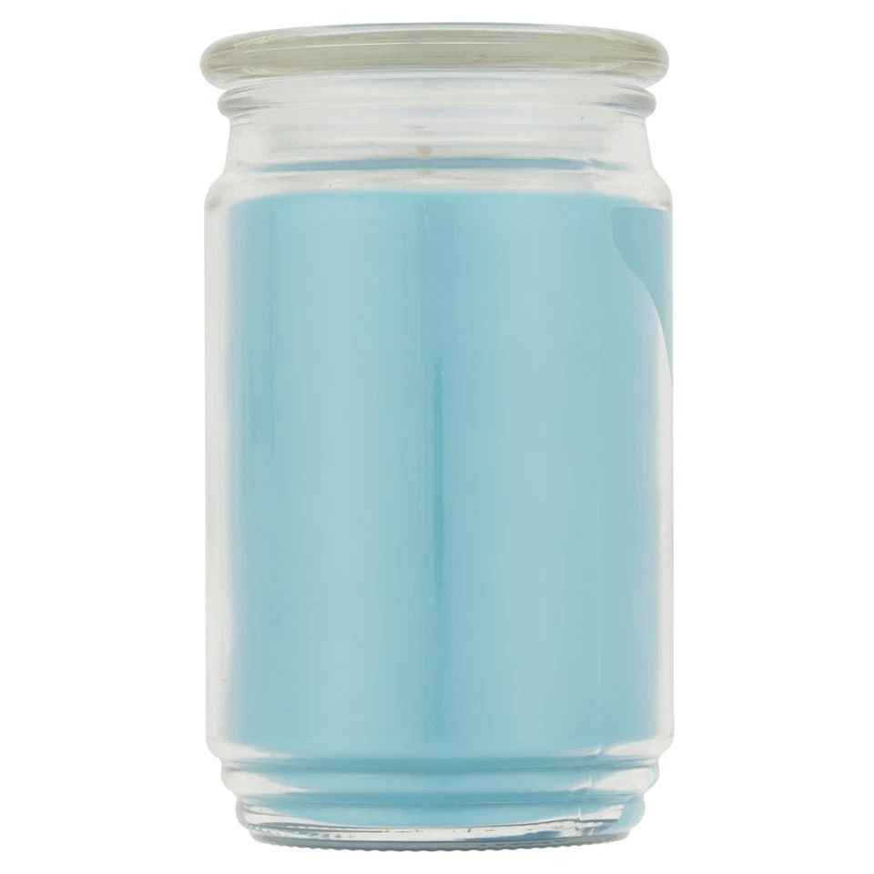 Single Wick Jar Candle, Garden Rain, 20 Oz
