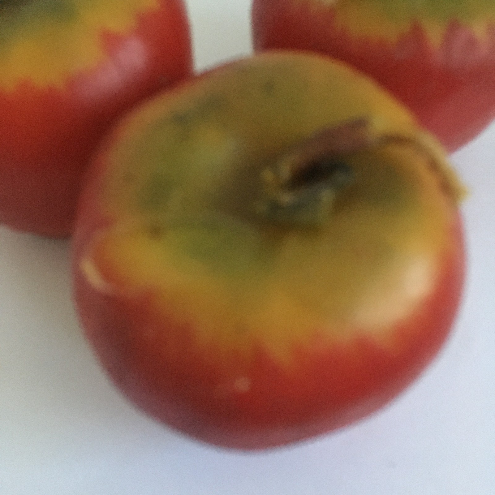 Vintage 3 Heavy Red Apple Wax Candle Life Size Odorless 2.50 Inches Realistic