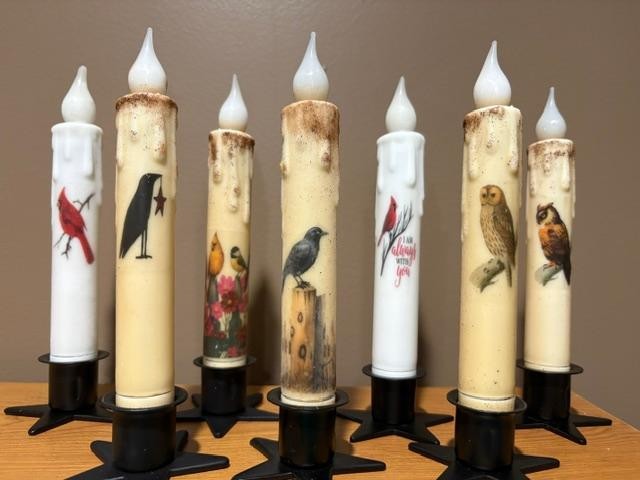 Nature ~ Flowers ~ Animals ~ Taper Candle ~ 6 Hour LED with Timer ~ 40 +Designs