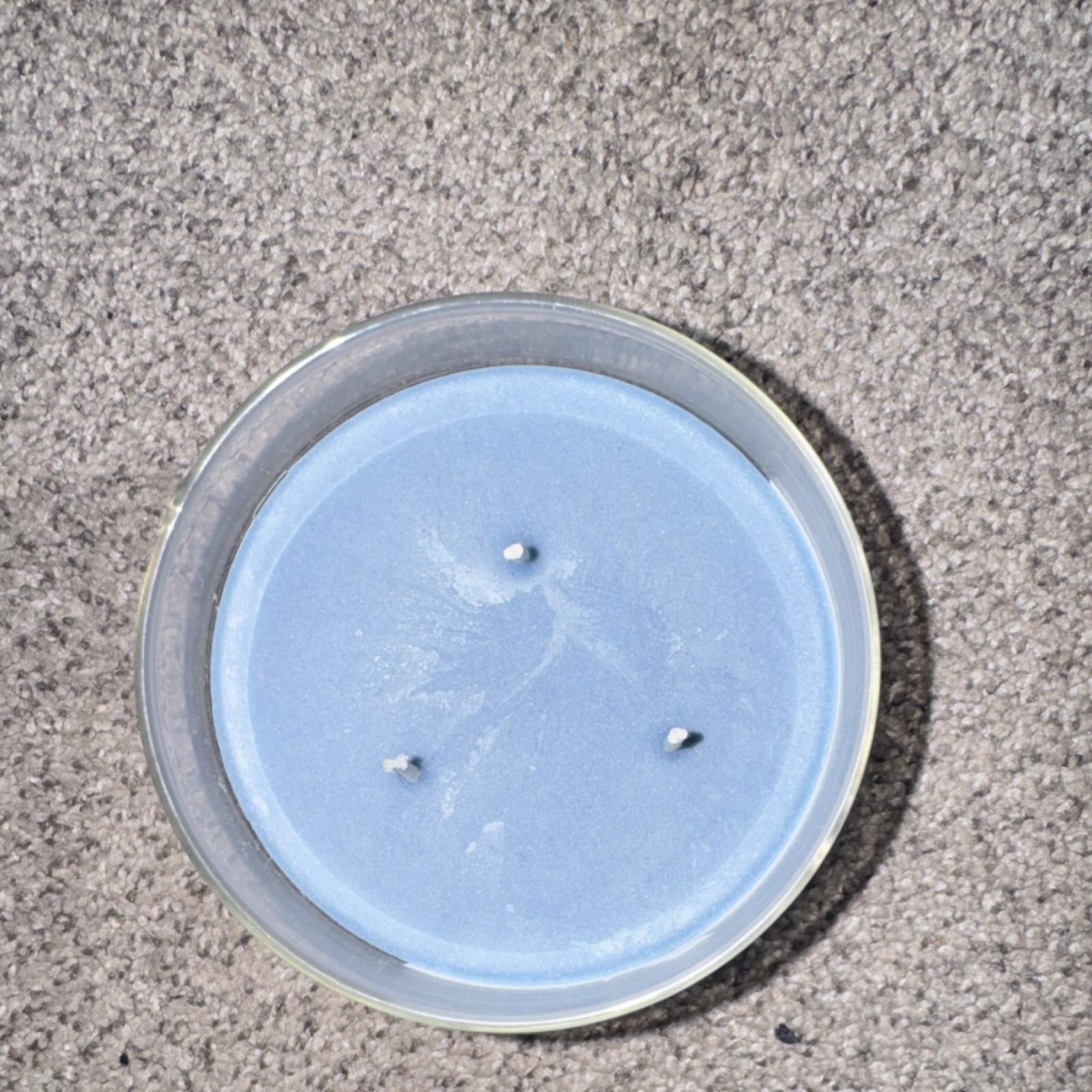 White Barn Flannel Scented Jar Candle Blue 3-Wick 14.5 oz 25-45 hrs Burn Time