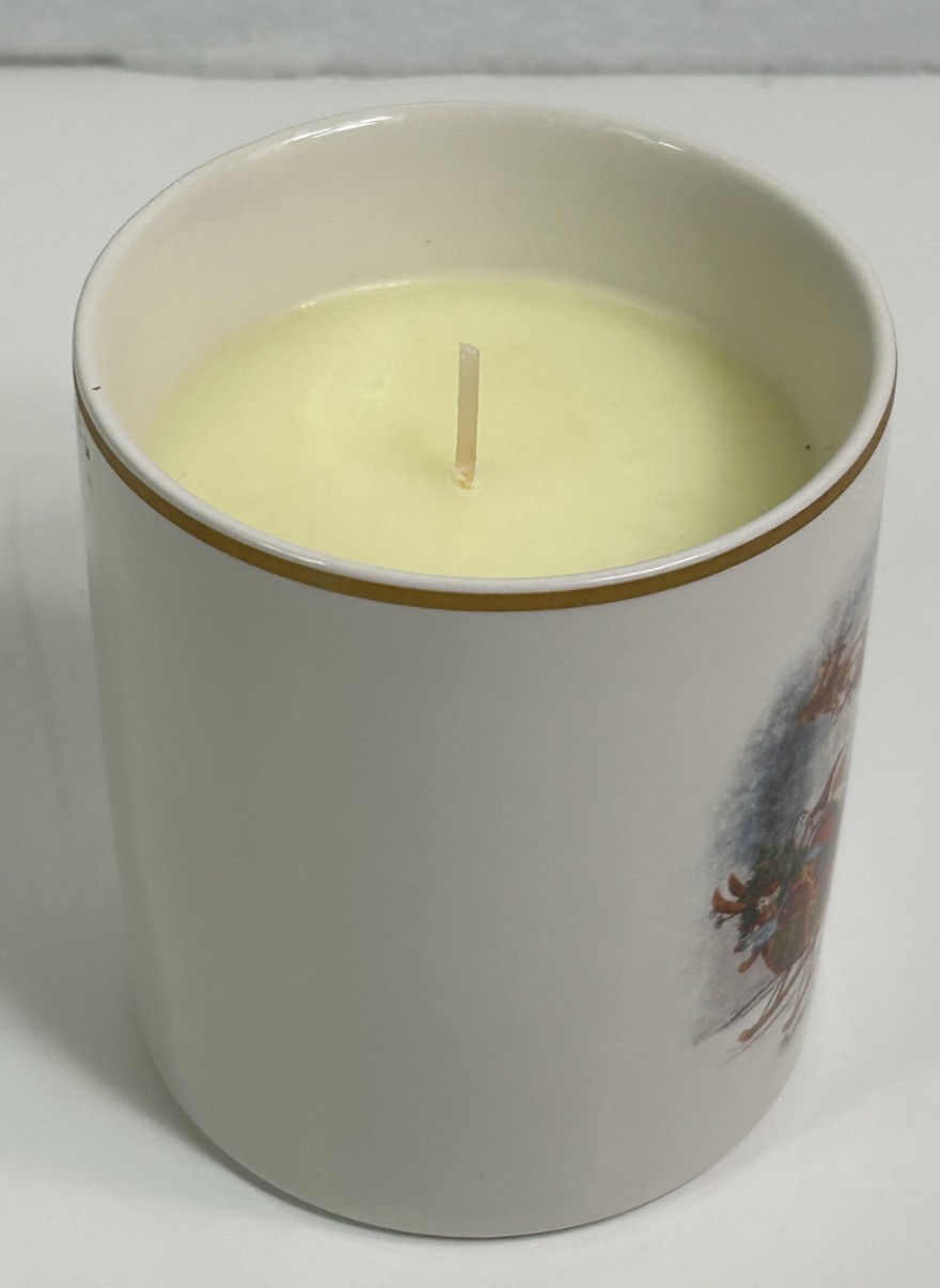 NEW VINTAGE Pottery Barn SNOW CURRANT 6.8 oz Scented Candle Original Box – B4