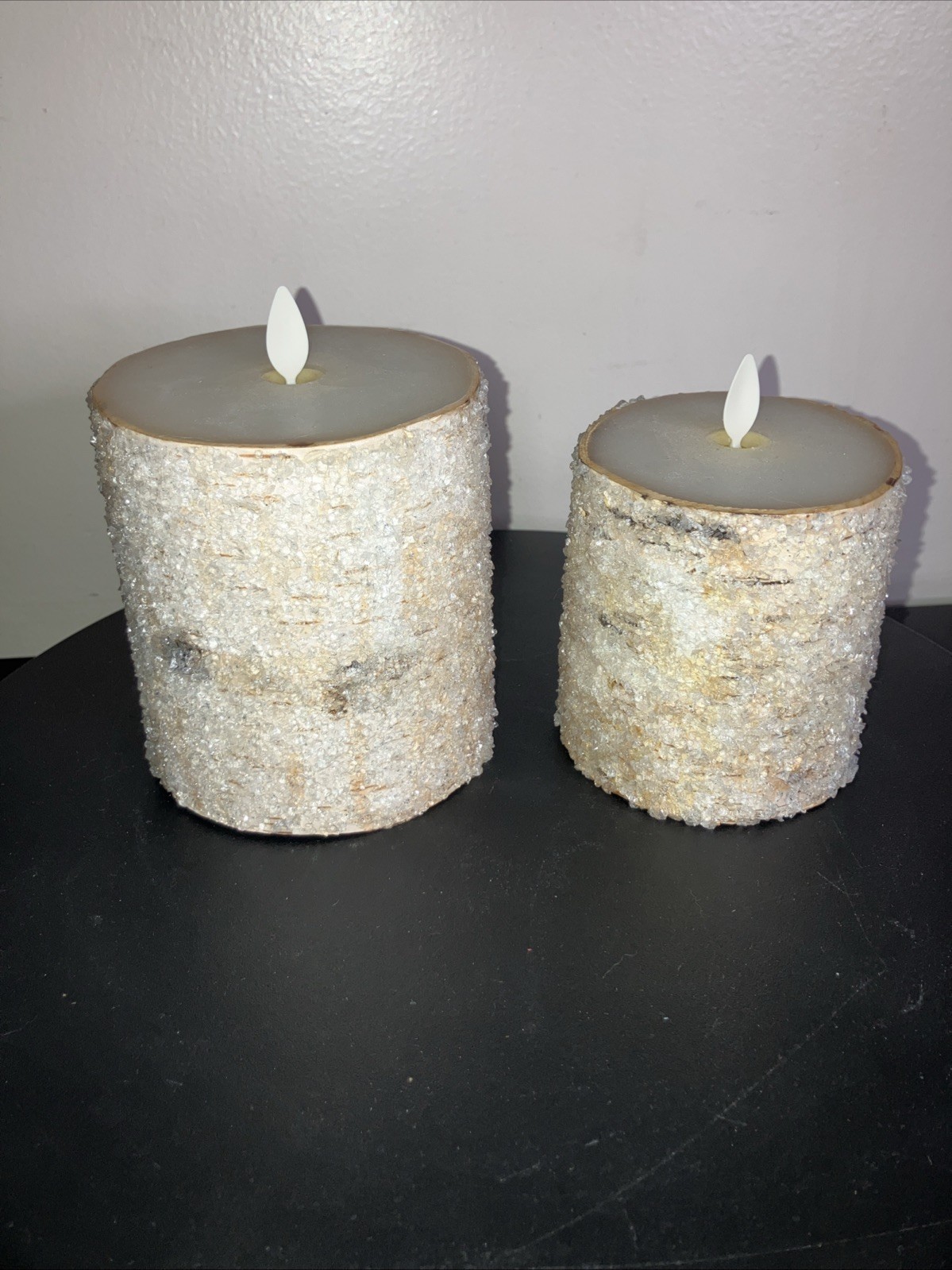Pair Of Pottery Barn by L&L Sugared Frosted Birch Flameless Candles