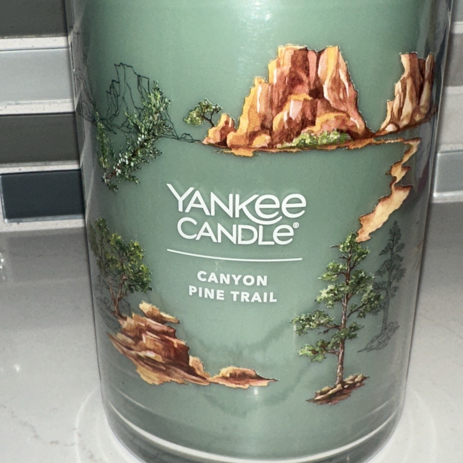 NEW-Yankee Candle CANYON PINE TRAIL Large 20oz- 2 WICK