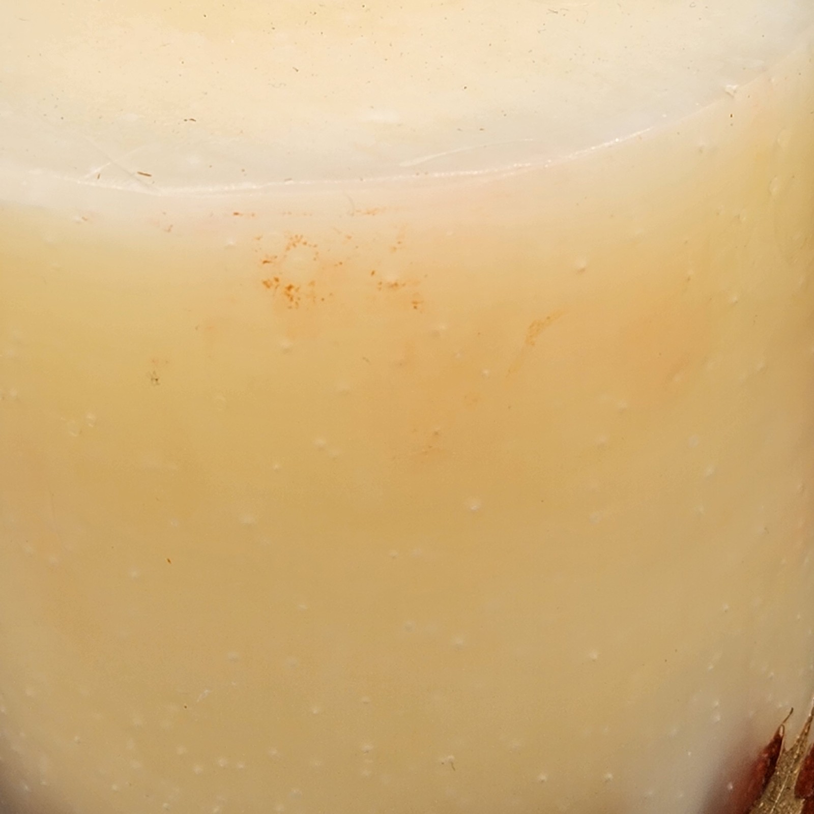 Pottery Barn Harvest Fall Leaf Botanical Candle 90-Hour Burn Time 4×8″ Unlit