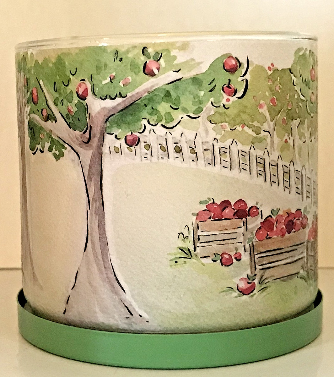 CIDER LANE CANDLE LARGE 3 WICK 14.5 OZ BATH BODY WORKS WHITE BARN GREEN NEW FALL