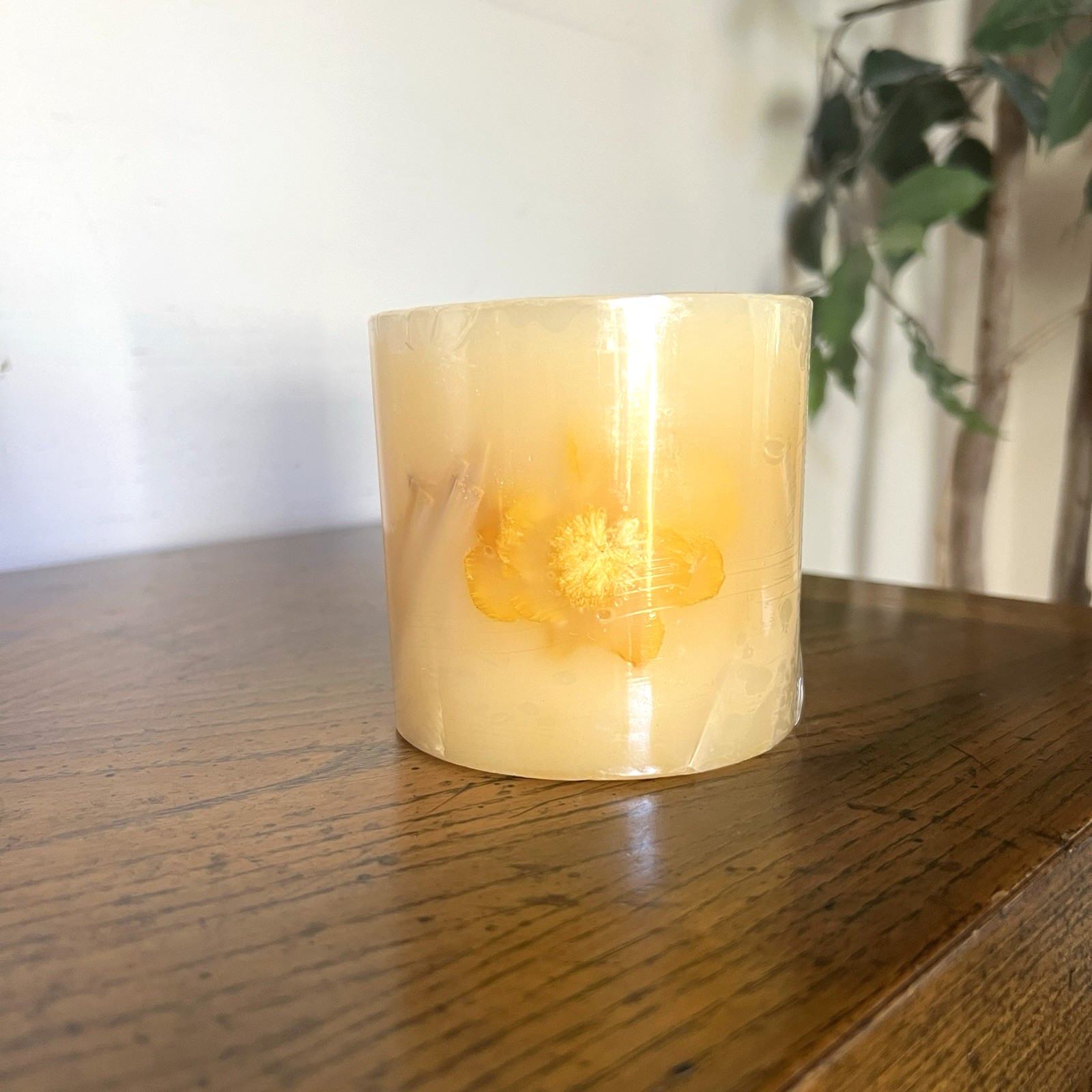 Pier 1 Imports Ginger Melon Candle Textured Pillar 3.5″ x 3.5″ New Sealed Rare