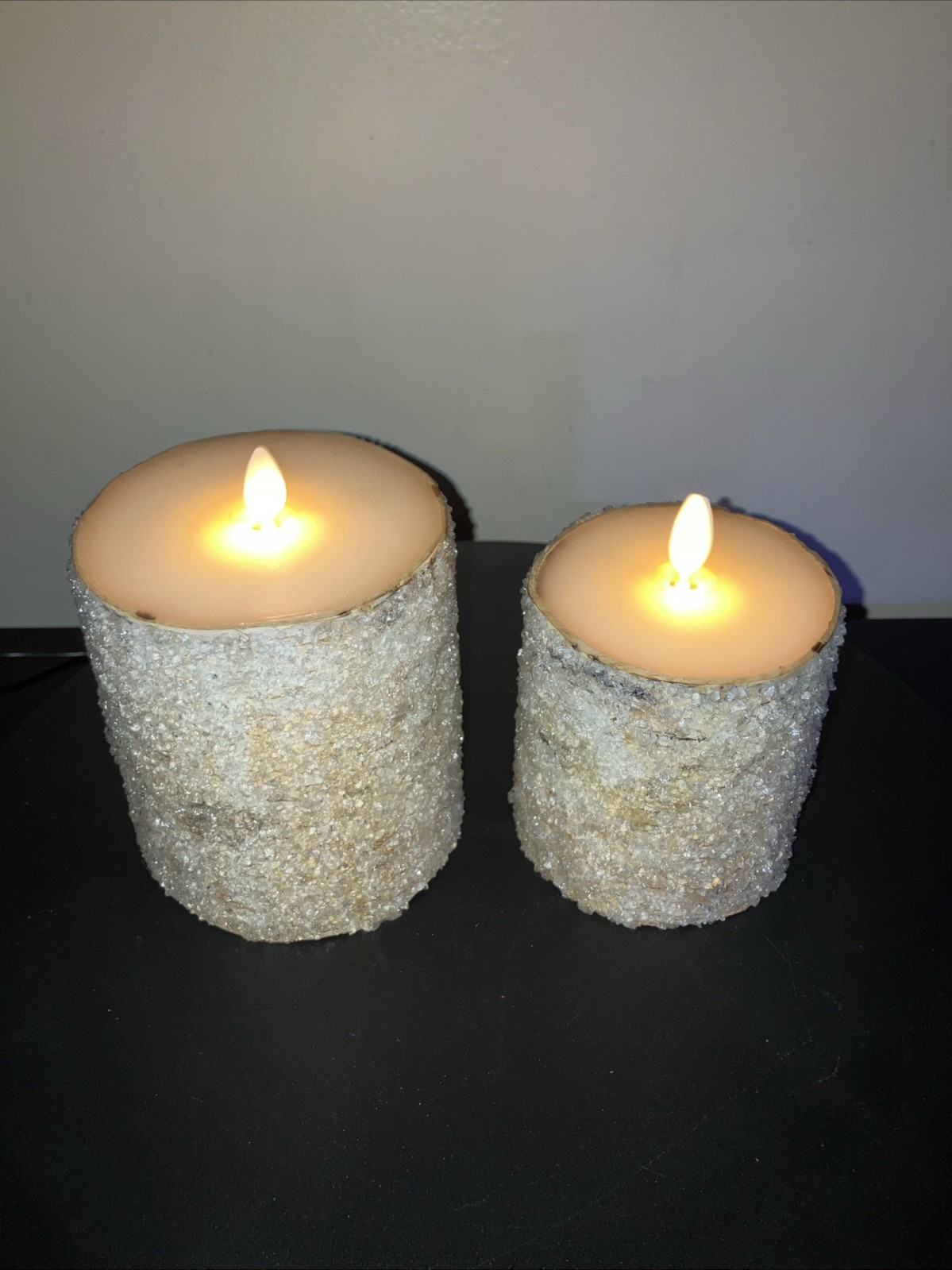 Pair Of Pottery Barn by L&L Sugared Frosted Birch Flameless Candles