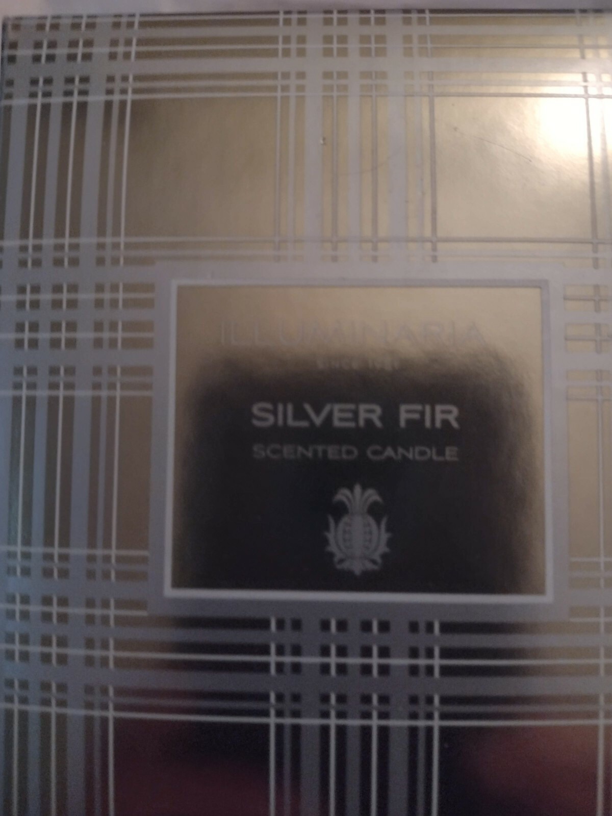 Zodax Illuminaria Silver Fir Scented Candle 7.76 oz 220g 3.75″ tall 2.75″ radius