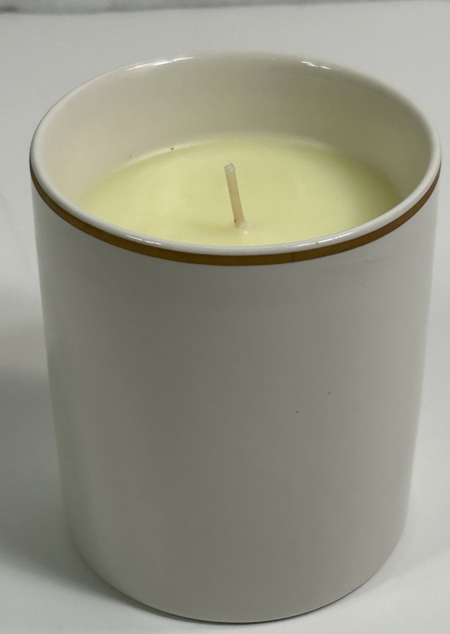 NEW VINTAGE Pottery Barn SNOW CURRANT 6.8 oz Scented Candle Original Box – B4