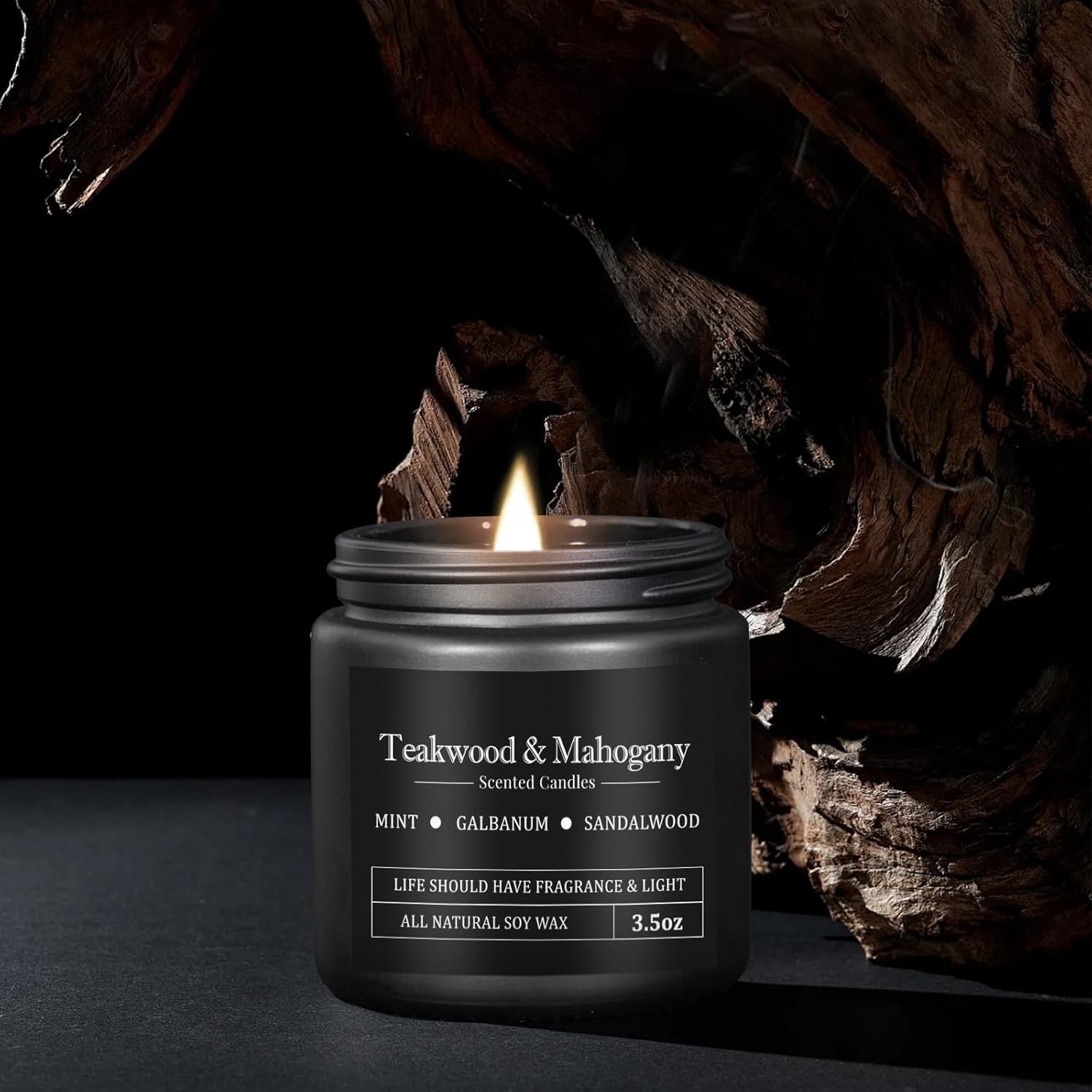 10 Pack Scented Candles for Men, Masculine Candle Gift Set with Woody & Fresh…