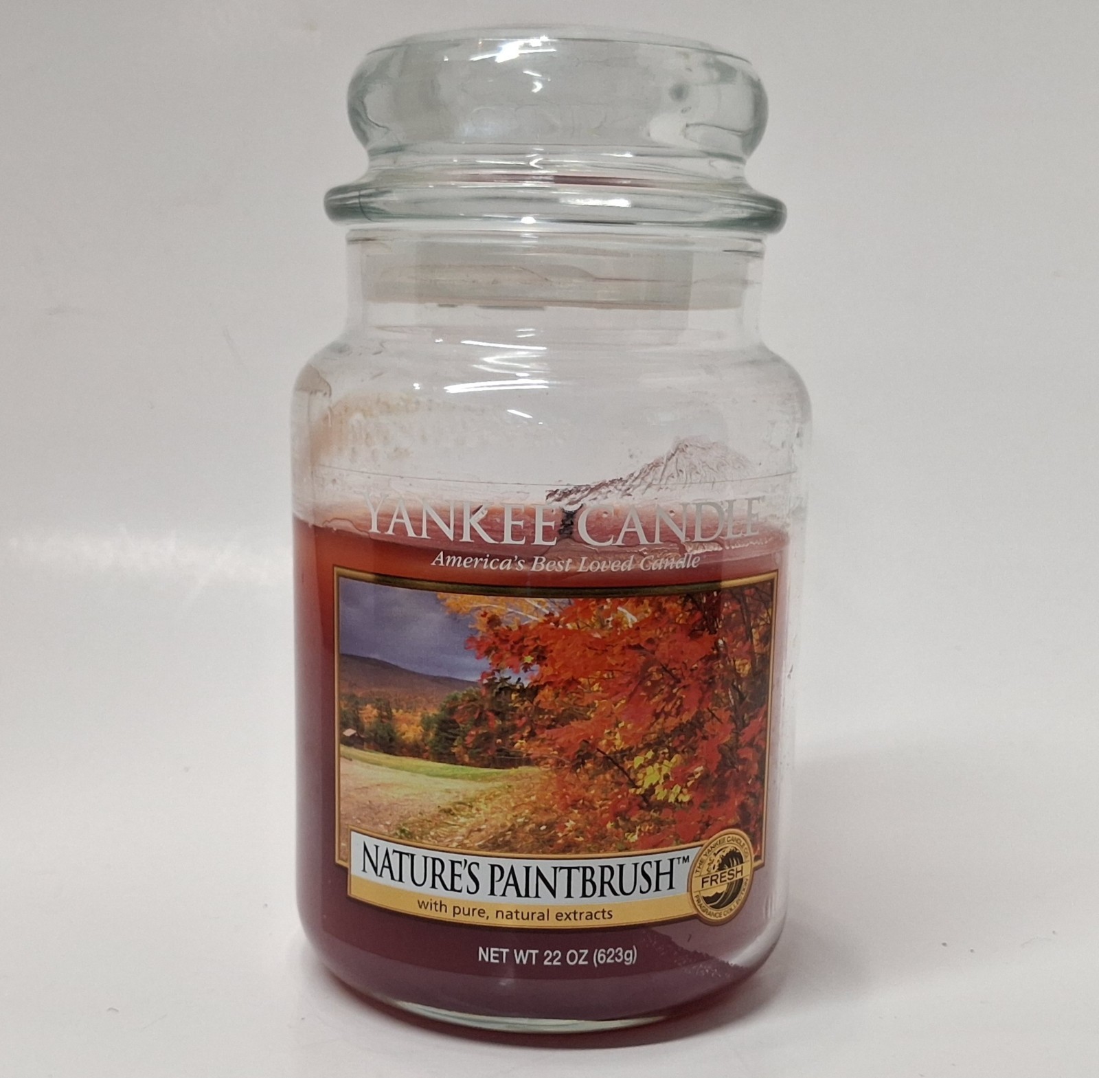 Yankee Candle “NATURE’S PAINTBRUSH” Large Jar 22 oz Rare Retired Scent Used