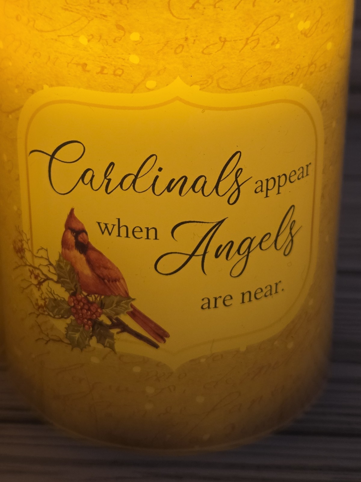 Set of 3 Candles LED Flameless Wax Pillars Cardinal Birds AAA Battery Operated