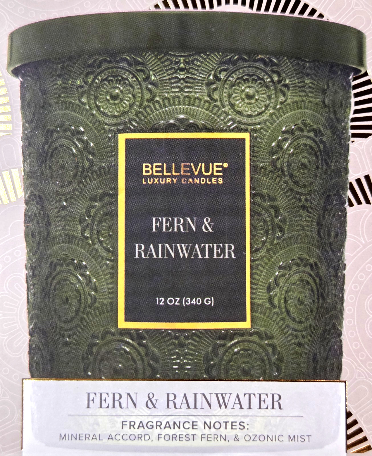 Bellevue Candle Forest Fern & Rainwater Embossed Green Soy Blend 2 Wick 12 Oz