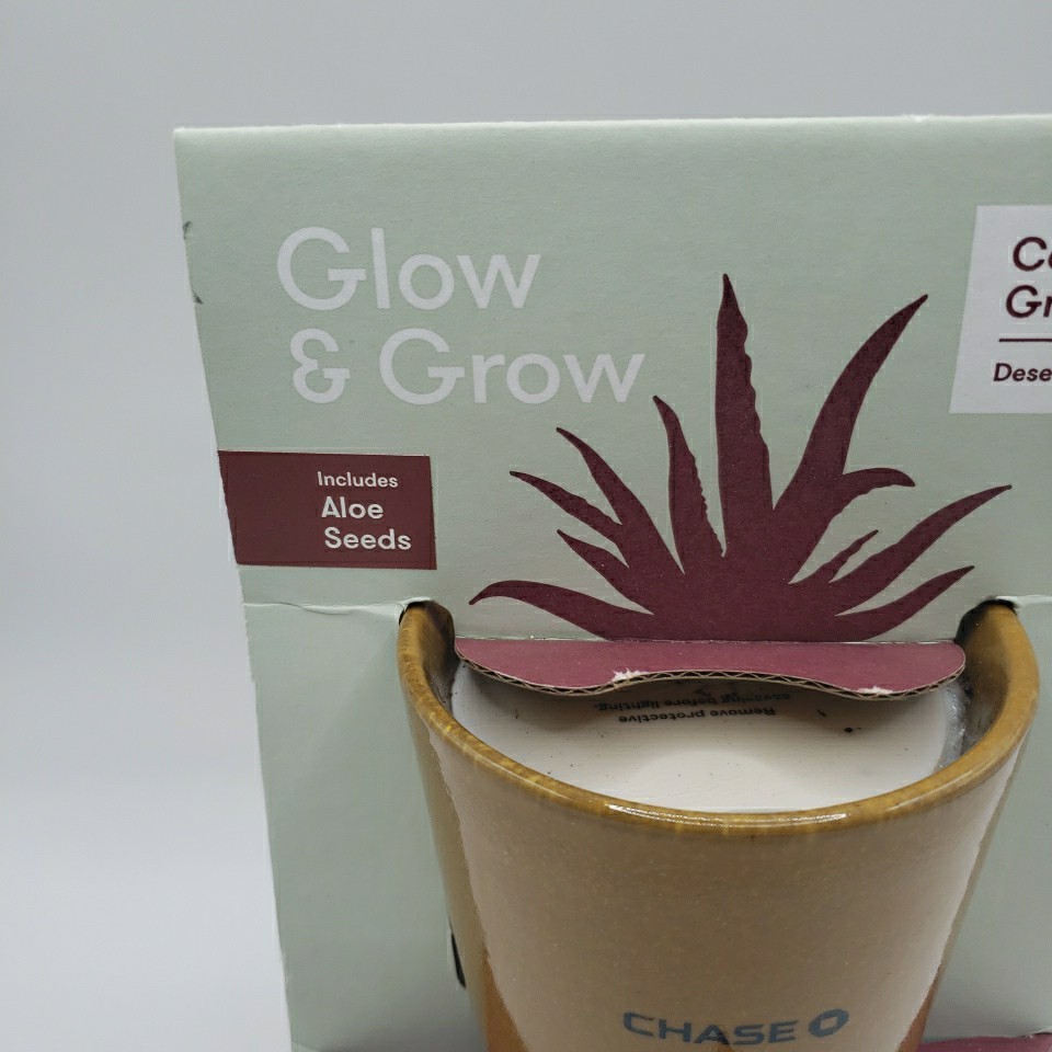 Modern Sprout Glow & Grow DESERT OASIS Candle & Grow Kit – Aloe Seed Chase Bank