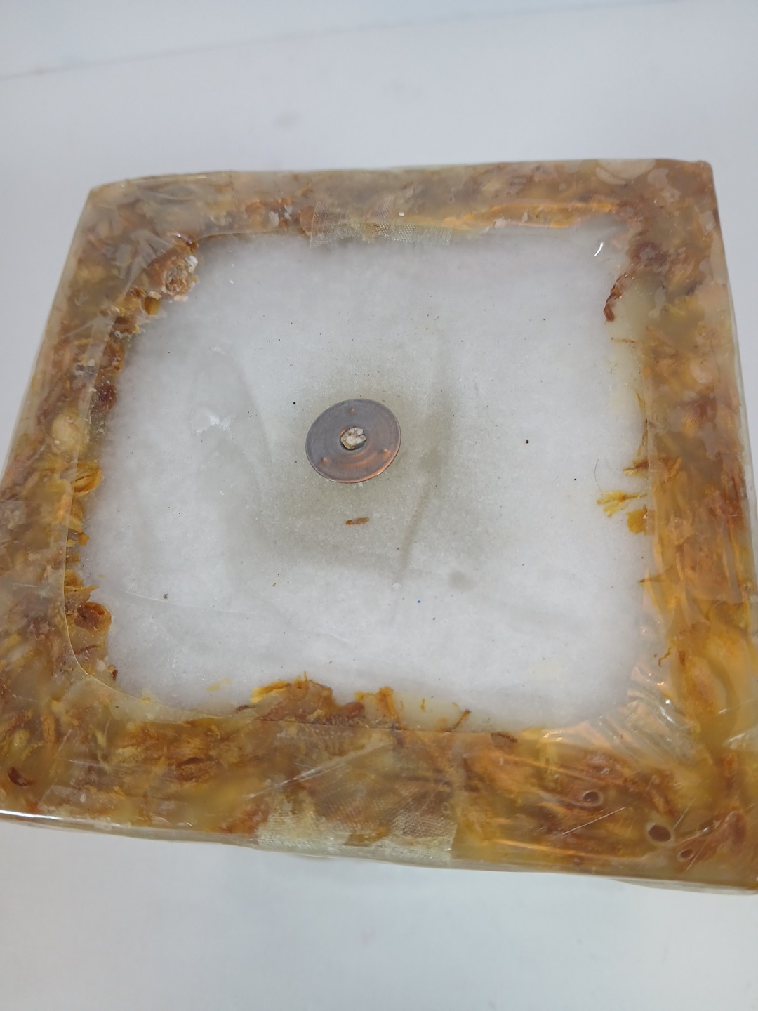 NEW Rosy Rings Square Botanical “Dewdrop” Candle 150 Hours