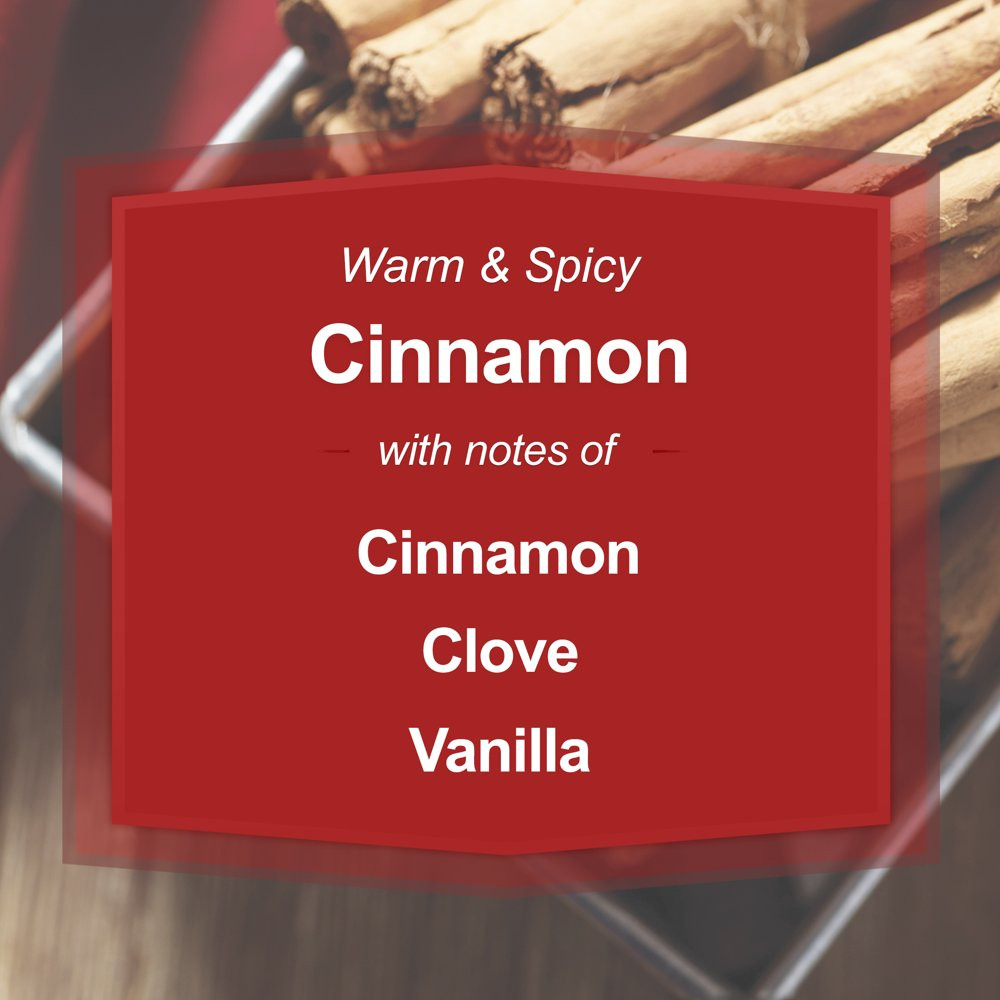 Cinnamon Scented Single-Wick Large Glass Jar Candle, 20 Oz