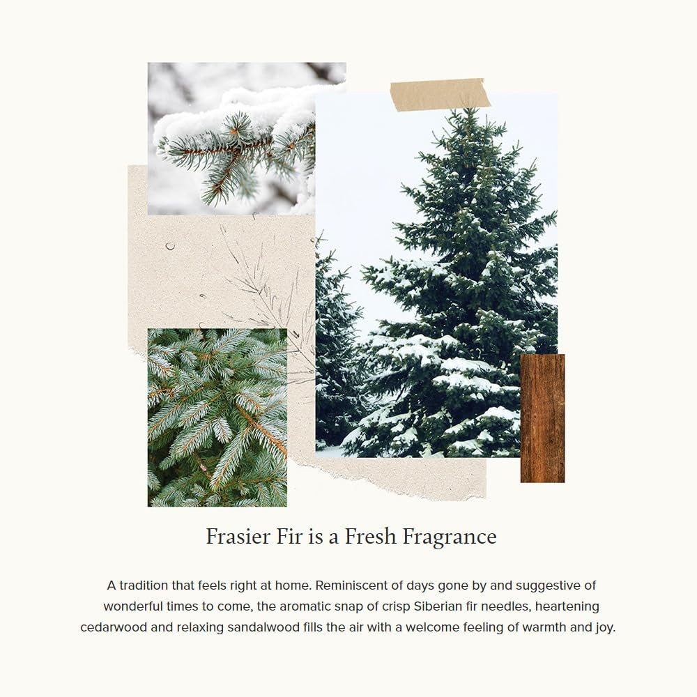 Frasier Fir Votive Candle Set of 3 – Scented Candles for Home – Luxury Home Frag