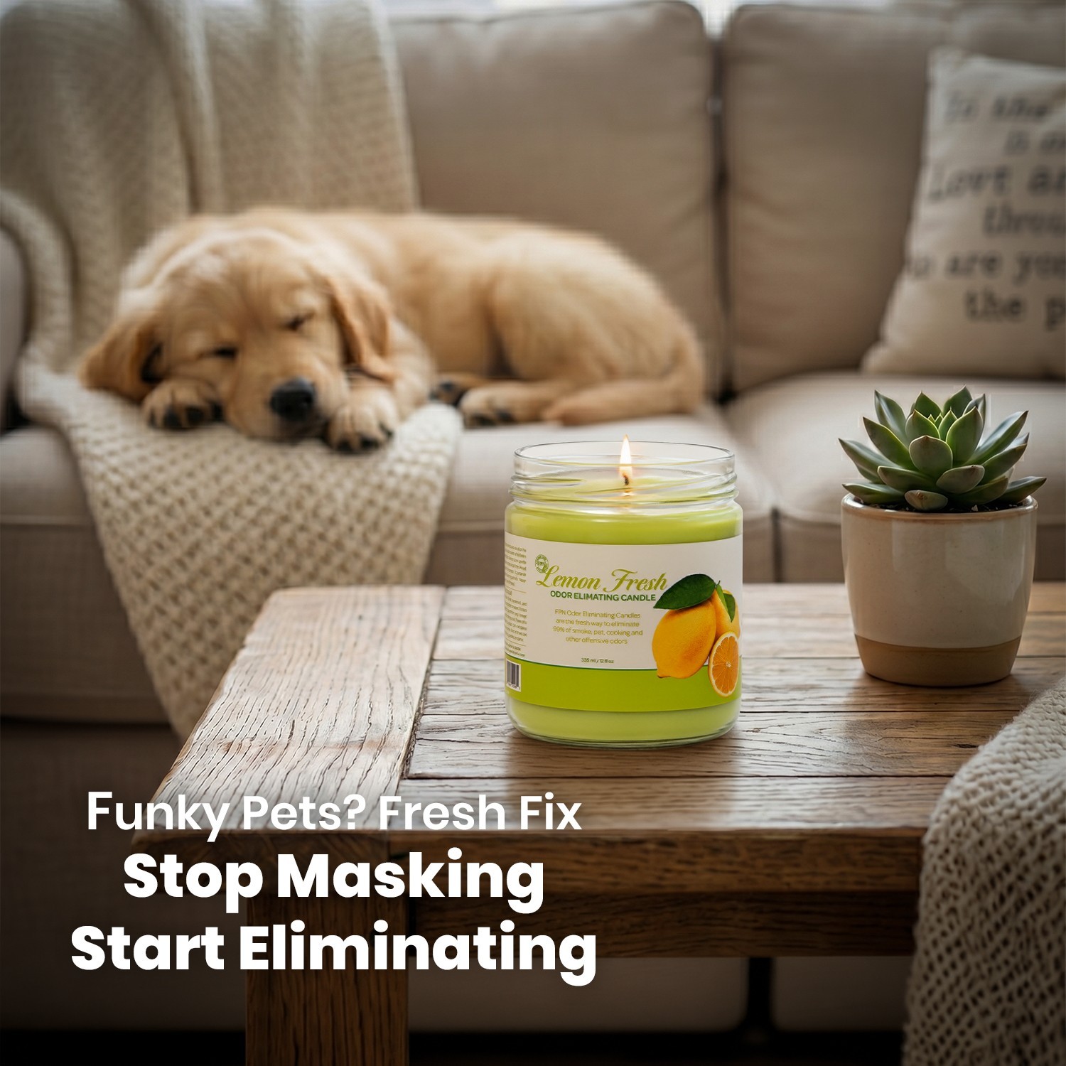 FPN Smoke & Cooking Odor Eliminator Candles 12oz Soy Wax Candle Lemon Scent 2 Pc