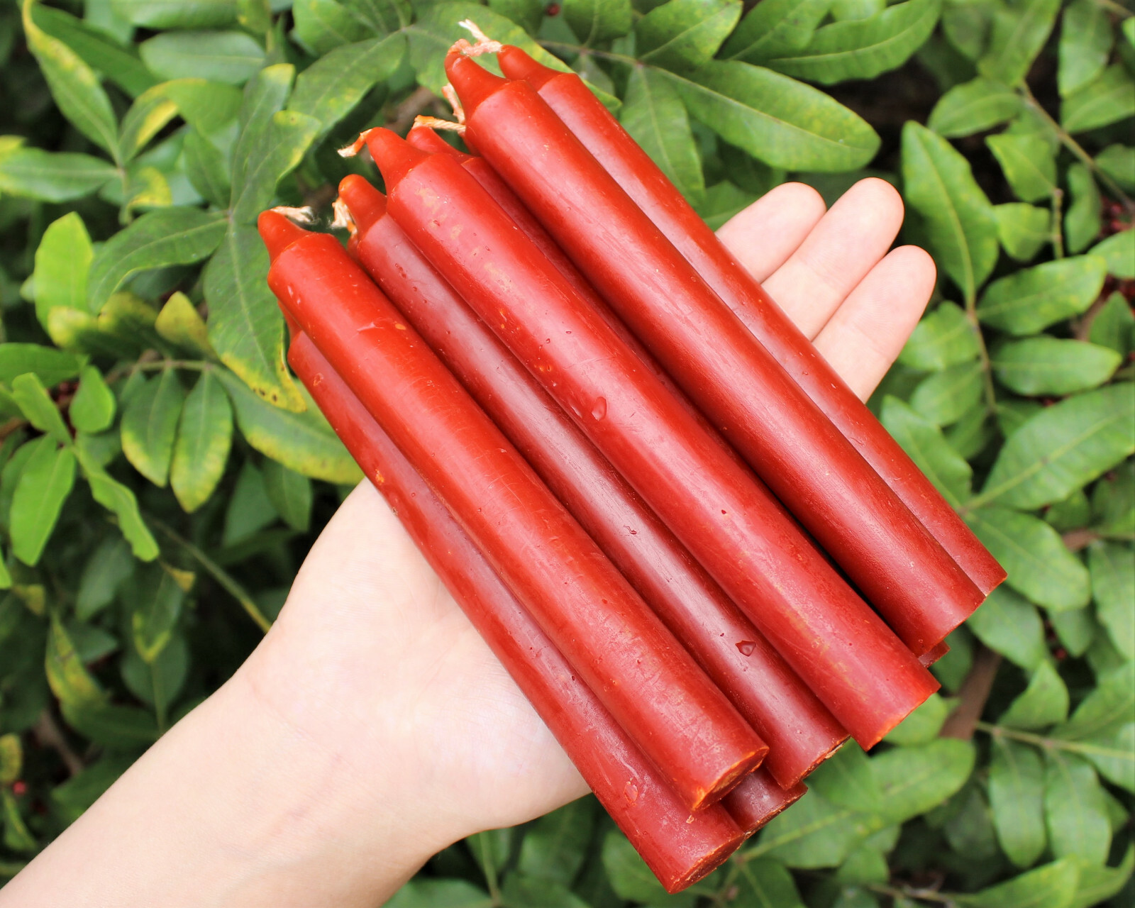Lot of 10 x 6″ Taper Spell Candles: BROWN (Pagan Wicca Altar Household)