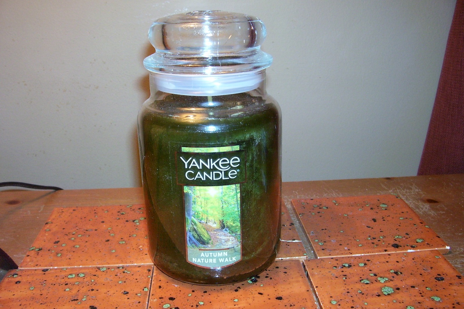 yankee candle 22oz JAR AUTUMN NATURE WALK + SINGLE REFILL + 4 WAX MELTS