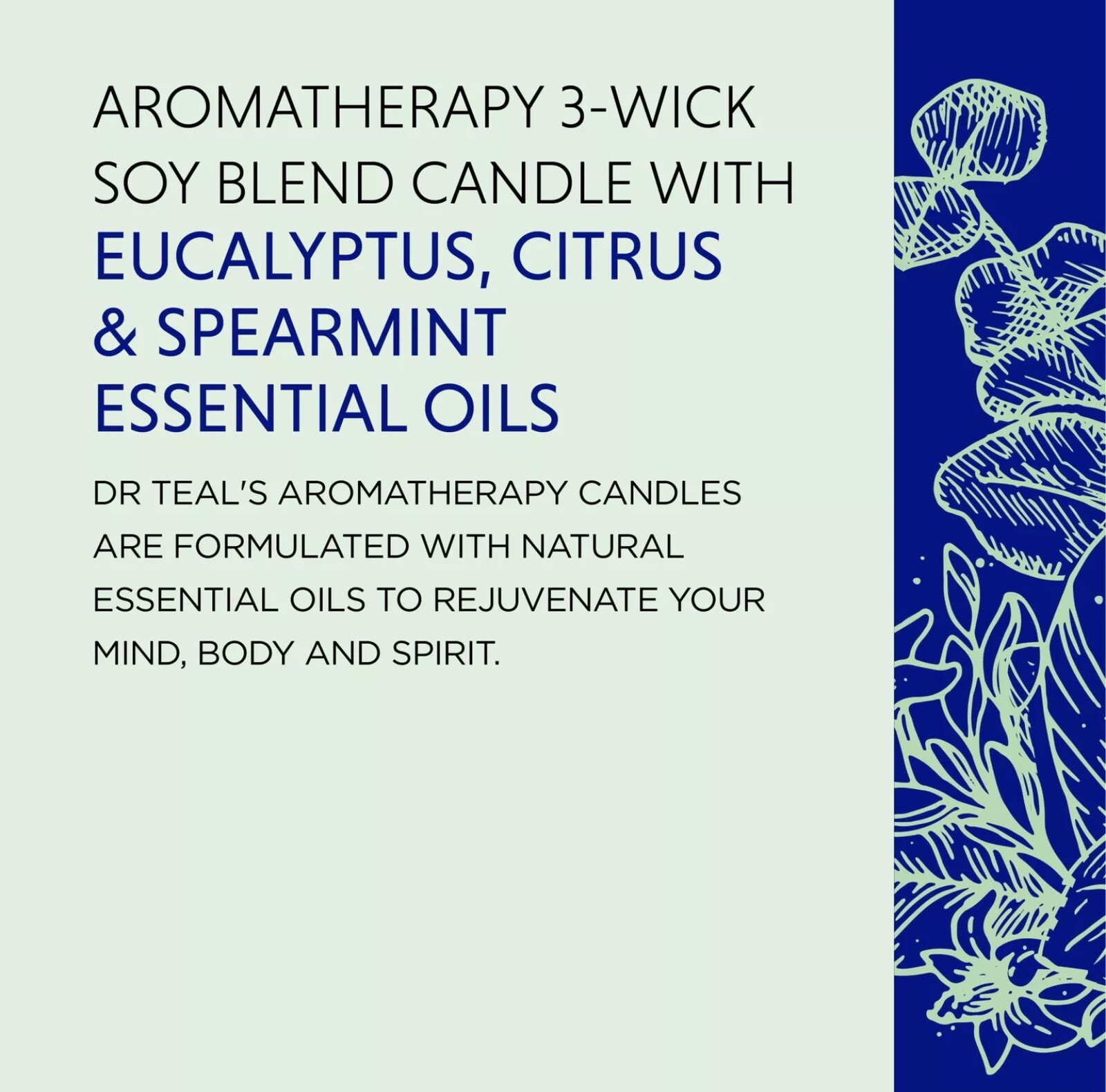 Dr Teal’s Aromatherapy Stress Relief Wellness Candle with Eucalyptus, Citrus