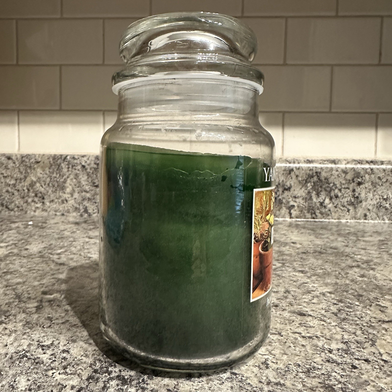 Yankee Candle Greenhouse Large Jar Candle Housewarmer 22oz Retired Used