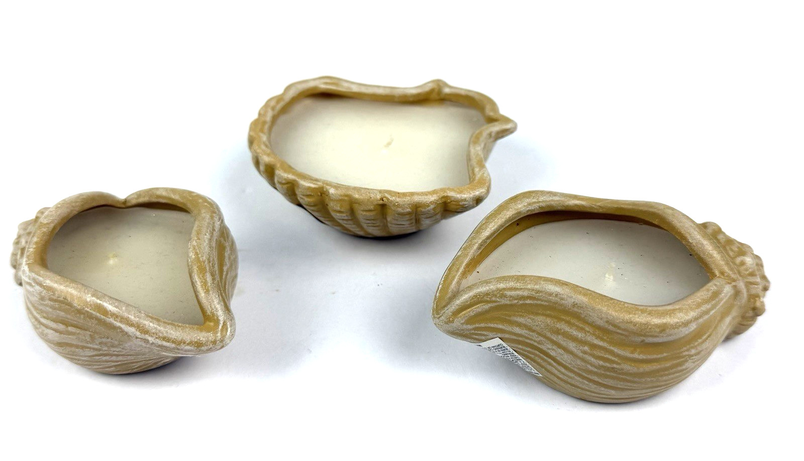3 Sea Shell Candle Filed Holders Beach House Decor Seaside