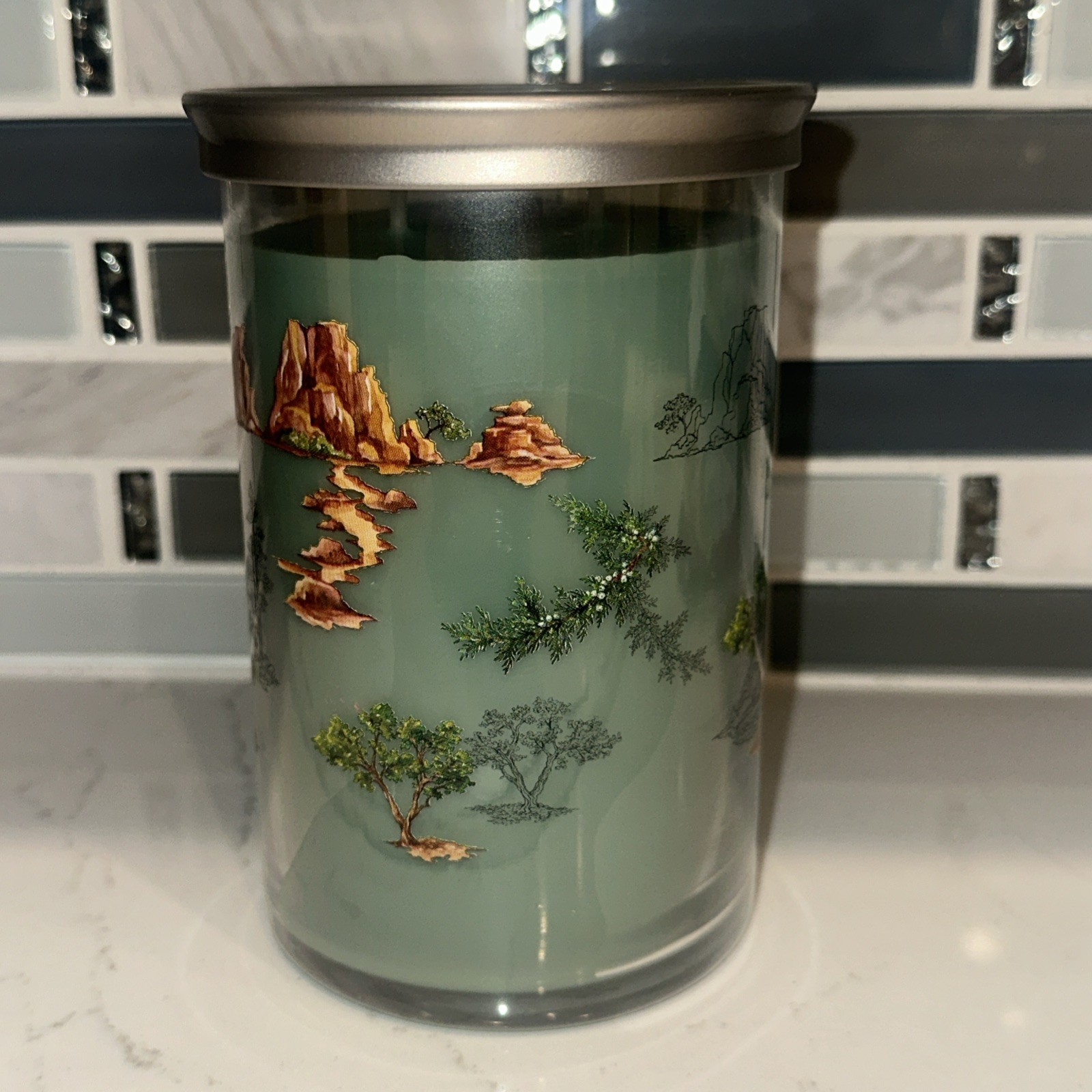 NEW-Yankee Candle CANYON PINE TRAIL Large 20oz- 2 WICK