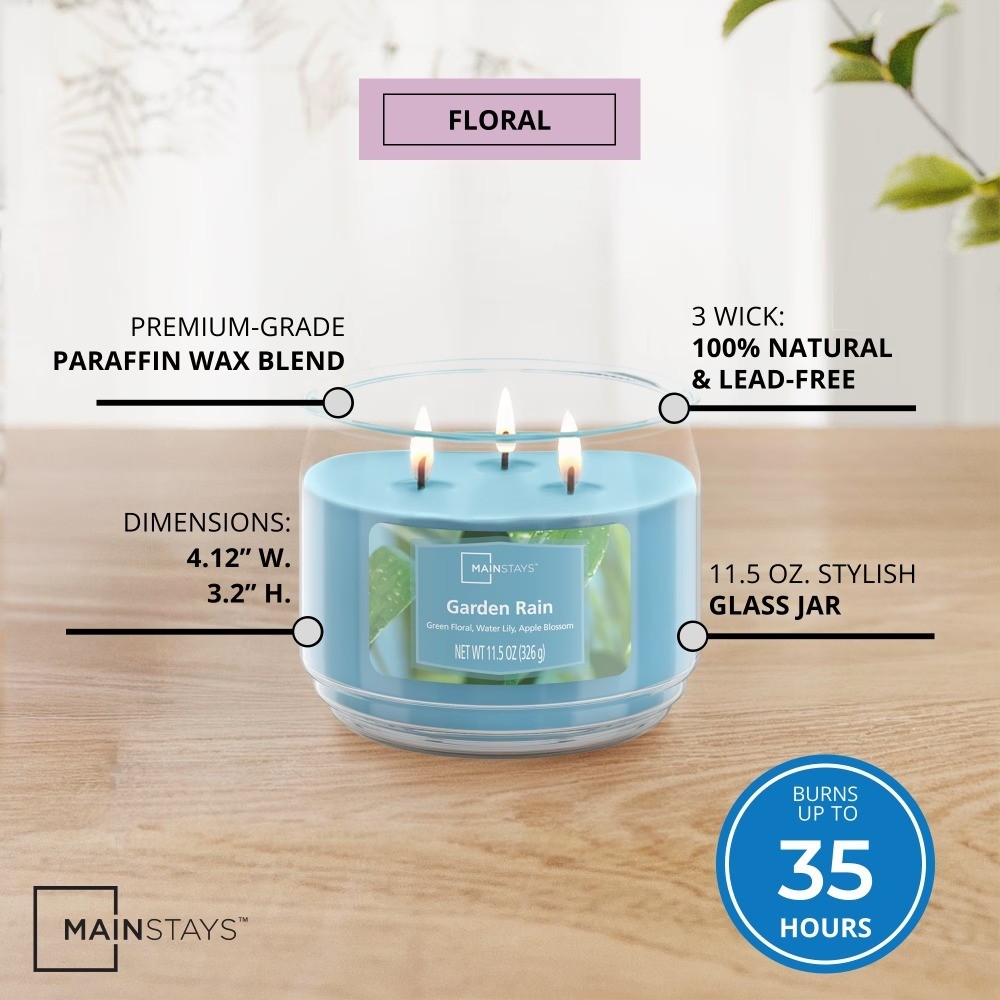 3-Wick Scented Glass Jar Candle, Fresh Garden Rain Fragrance, 11.5 Ounce