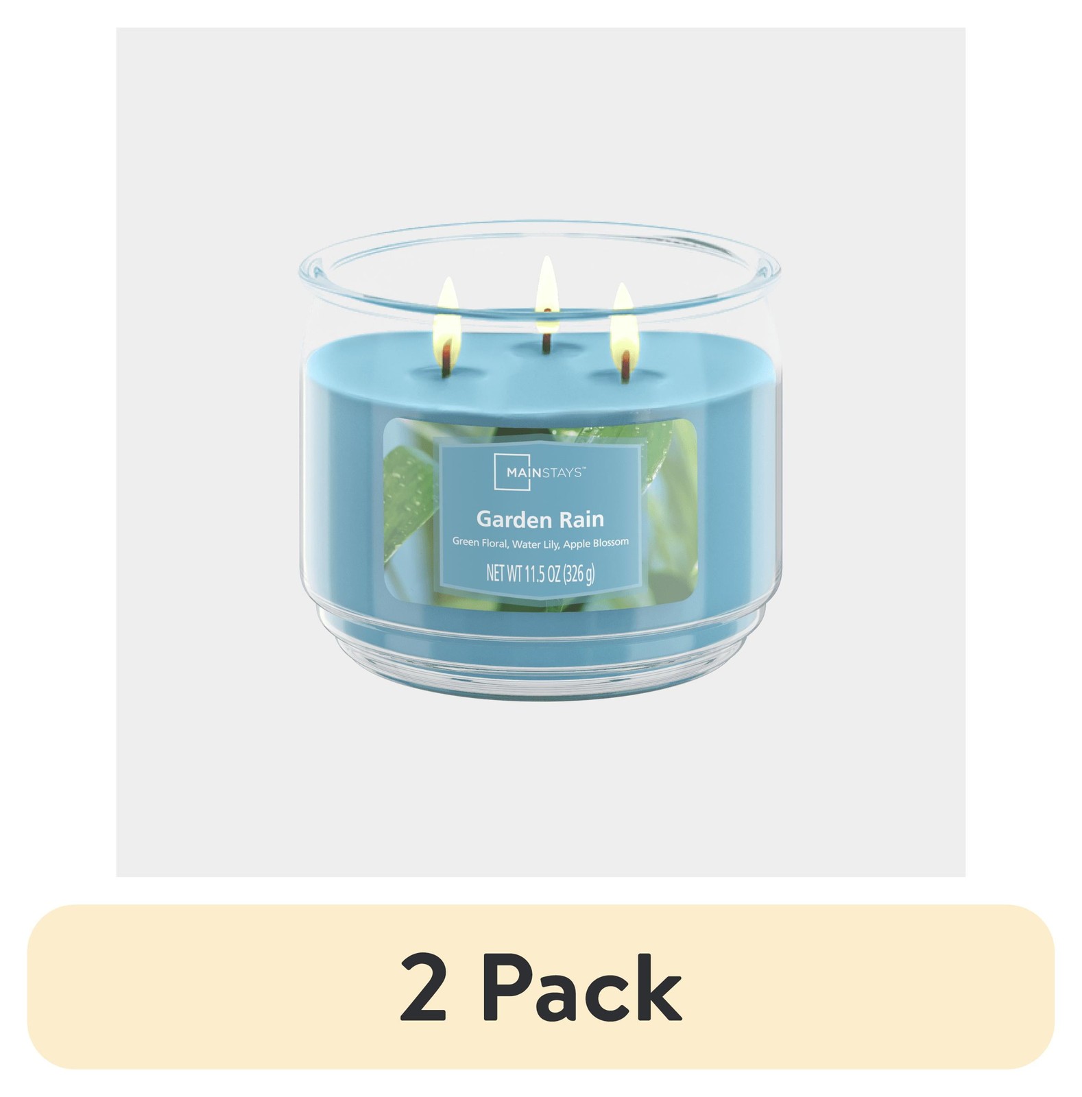 2-Pack Garden Rain Scented 3-Wick Glass Jar Candle, 11.5oz / 326g