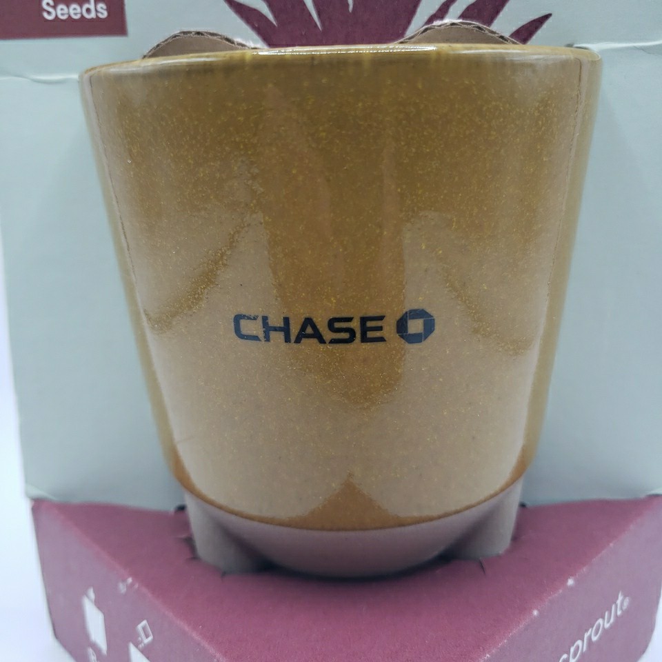 Modern Sprout Glow & Grow DESERT OASIS Candle & Grow Kit – Aloe Seed Chase Bank