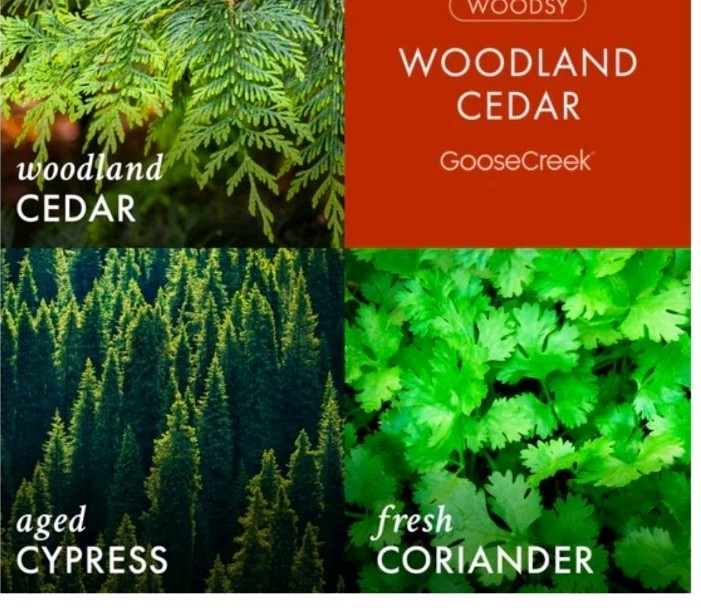 Woodland Cedar Goose Creek Soy Candle 3 Wicks
