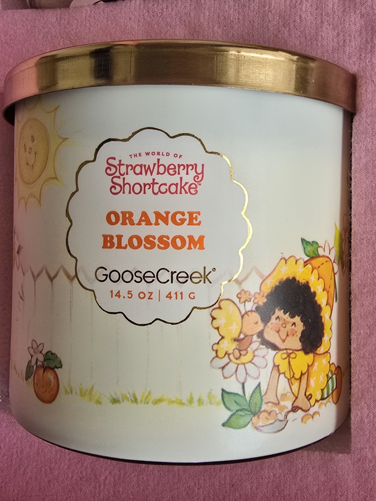NEW BOX SET /9 Goose Creek STRAWBERRY SHORTCAKE Candles DISCONTINUED LIMITED ED