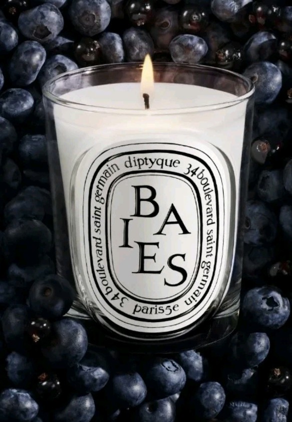 Baies Candle Diptyque 190 g 100% Authentic No Box