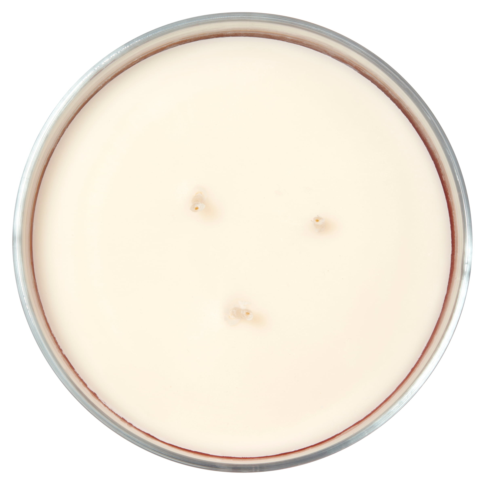 (2 pack) 3-Wick Textured Wrapped Juicy Watermelon Scented Candle, 14 oz