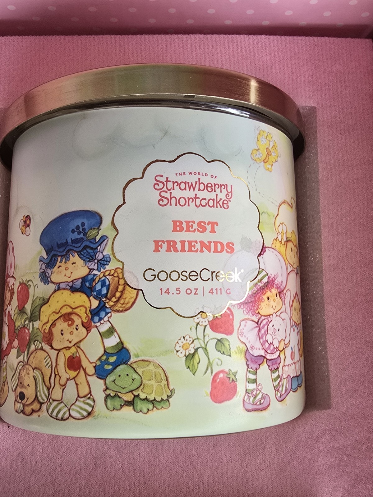 NEW BOX SET /9 Goose Creek STRAWBERRY SHORTCAKE Candles DISCONTINUED LIMITED ED