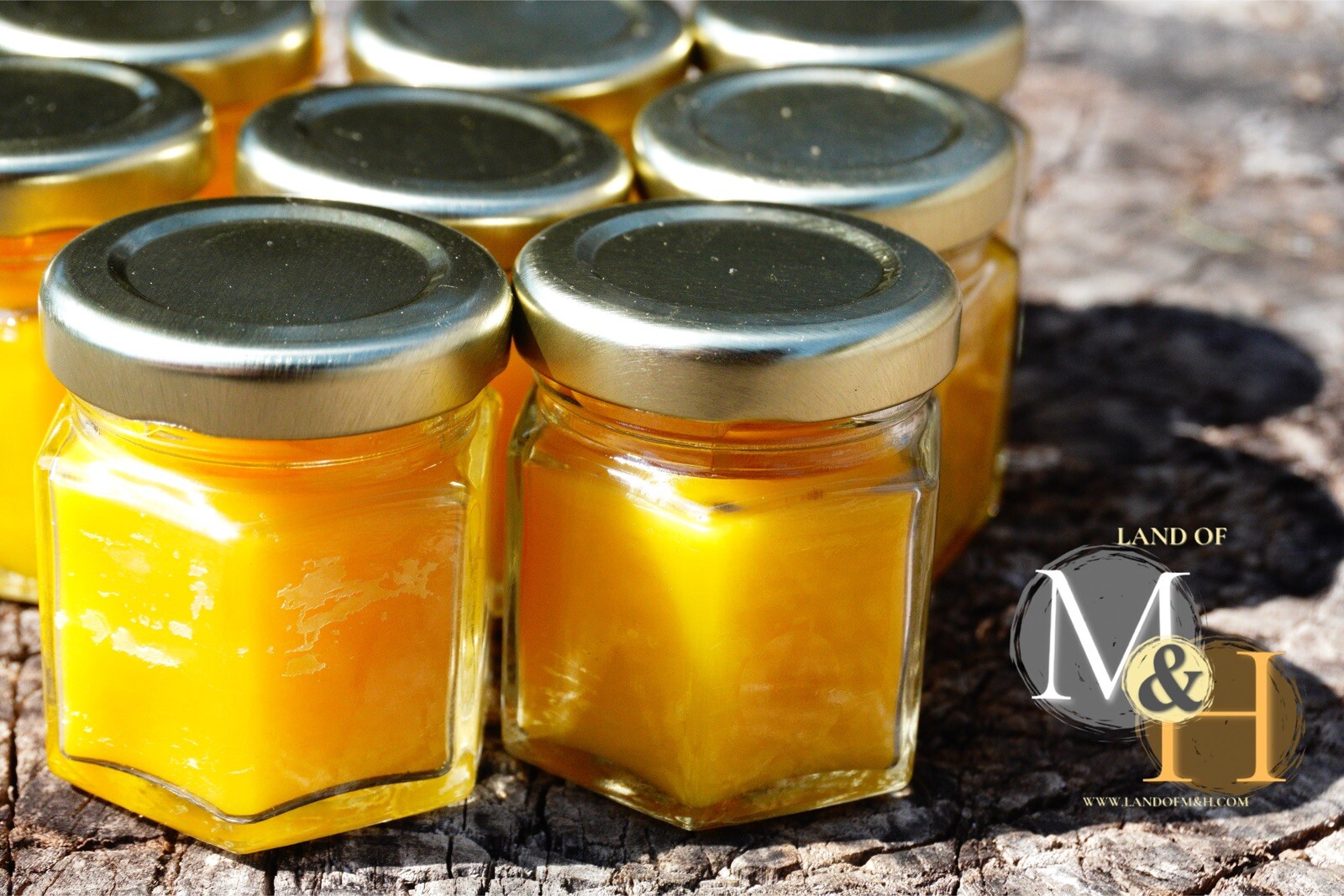 🐝 100% Beeswax (24 Pack) Candles 🕯️🕯️🕯️/ USA Honey Scent Long Burning 🐝