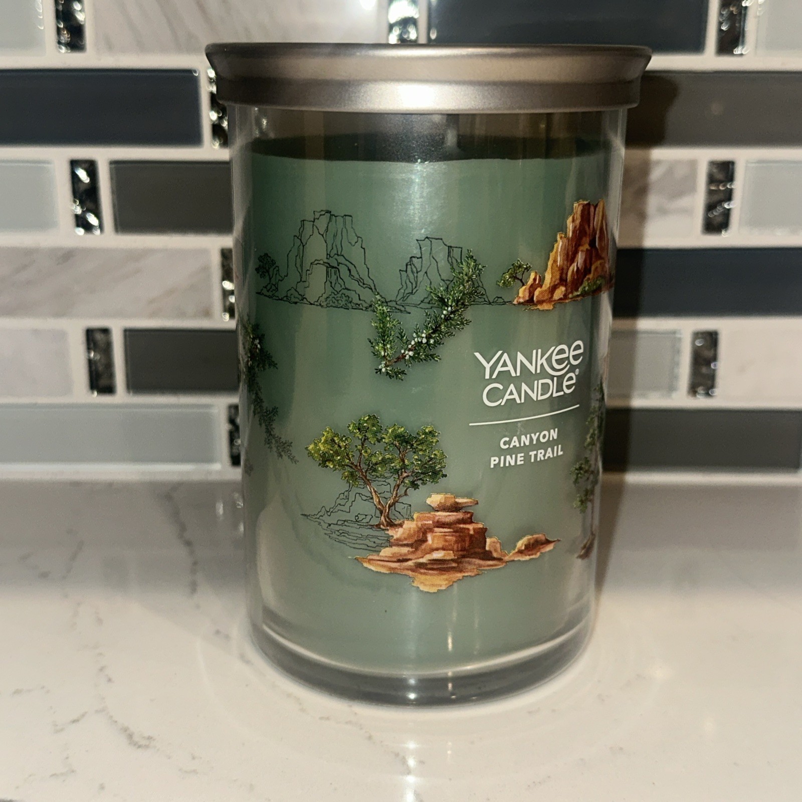 NEW-Yankee Candle CANYON PINE TRAIL Large 20oz- 2 WICK