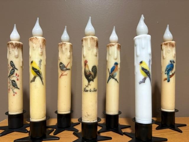 Nature ~ Flowers ~ Animals ~ Taper Candle ~ 6 Hour LED with Timer ~ 40 +Designs