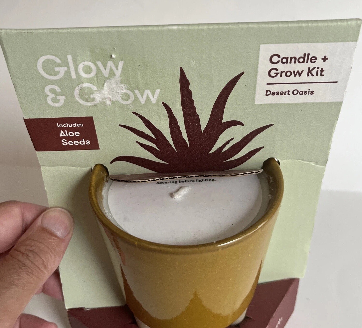 Modern Sprout Glow & Grow DESERT OASIS Candle & Grow Kit – Aloe Seed New