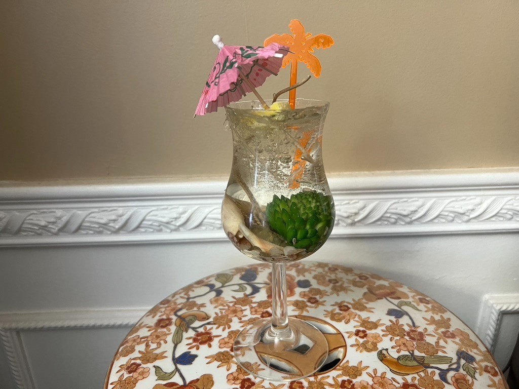 Clear Gel Seascape Candle in a 7 1/2″ Curved Glass