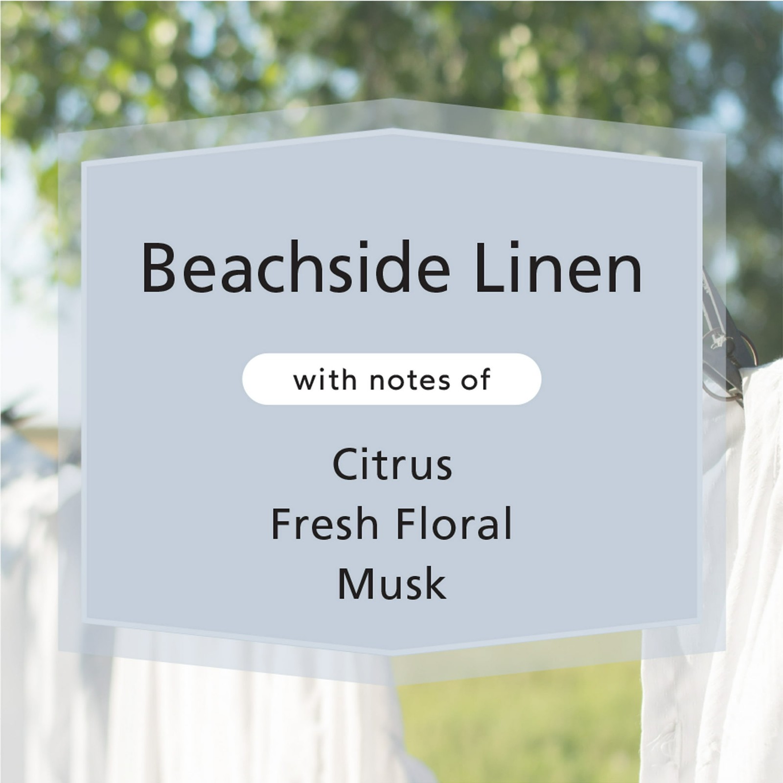 3 Pack Beachside Linen Scented 3-Wick Jar Candles 11.5oz FREE SHIP IN 2 DAYS….