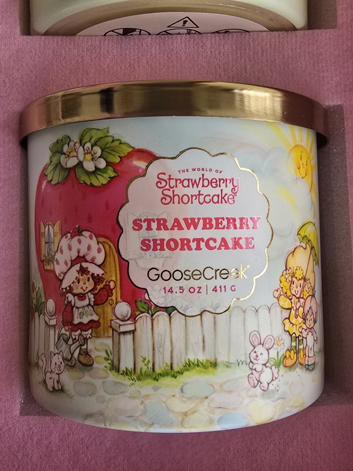 NEW BOX SET /9 Goose Creek STRAWBERRY SHORTCAKE Candles DISCONTINUED LIMITED ED
